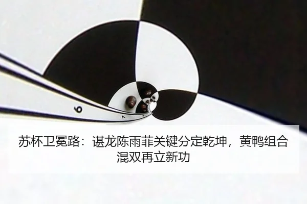 su-bei-wei-mian-lu-chen-long-chen-yu-fei-guan-jian-fen-ding-qian-kun-huang-ya-zu-he-hun-shuang-zai-li-xin-gong-2-489.jpg
