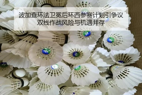 bo-jia-cha-huan-fa-wei-mian-hou-huan-xi-can-sai-ji-hua-yin-zheng-yi-shuang-xian-zuo-zhan-feng-xian-yu-ji-yu-bing-cun-3-657.jpg
